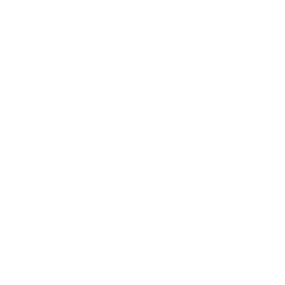 RegioPlus