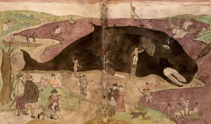 Getekende grote aangespoelde walvis ligt op het strand. Mensen kijken toe en beklimmen de walvis.