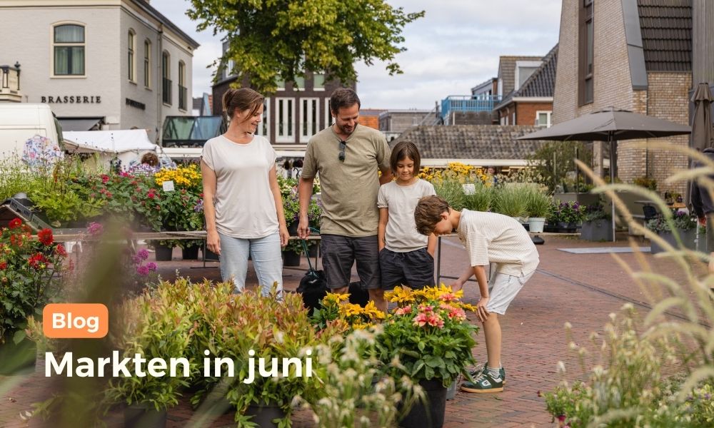 Markten op Texel in juni