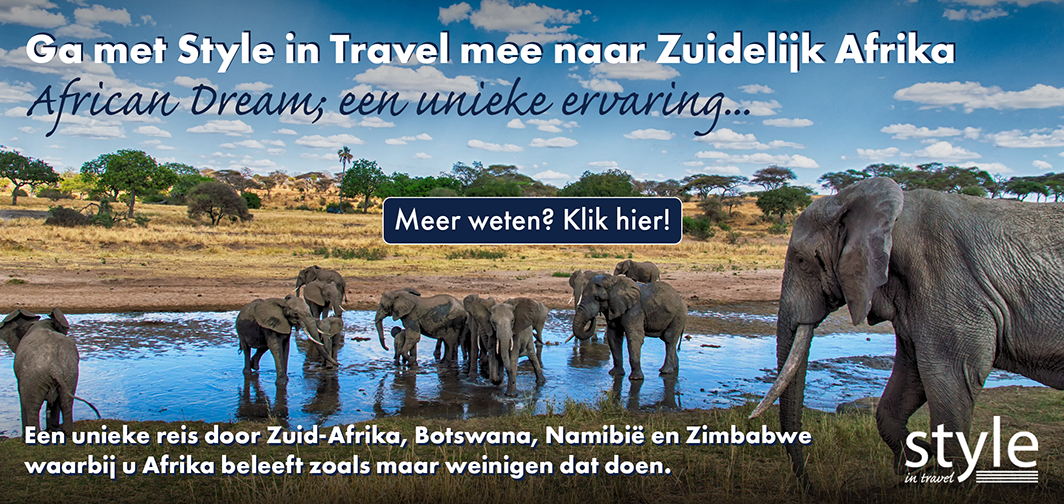 banner_africa_cruise.png