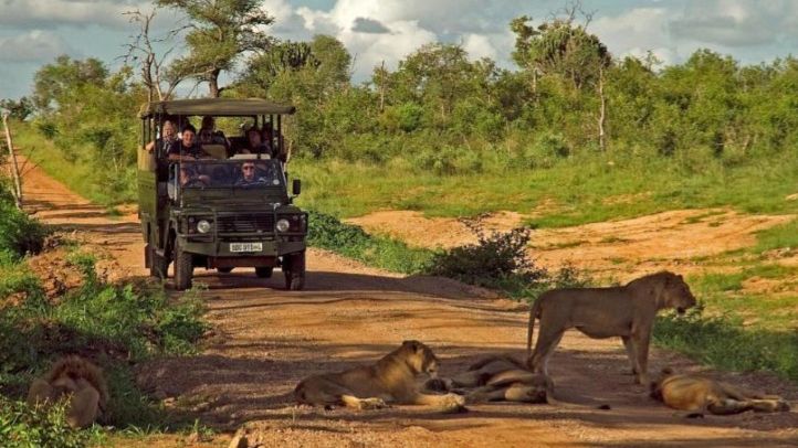 Zuid-Afrika: Krugerpark, Kwazulu Natal en Drakensbergen