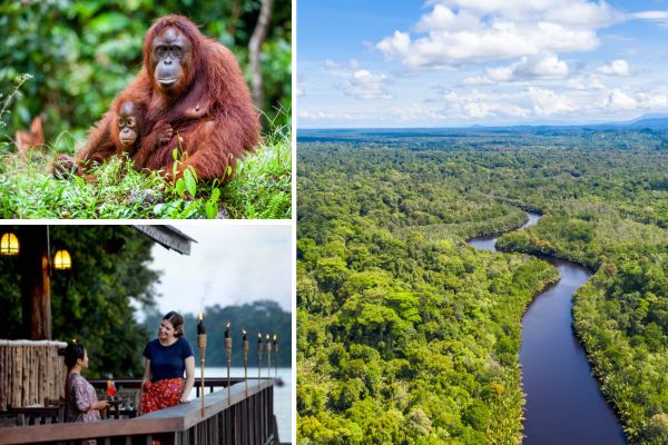 Natuur en wildlife van Borneo