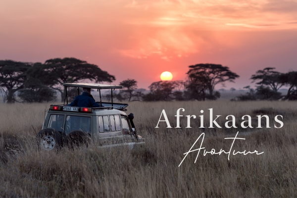 Jeep safari bij zonsondergang in Afrika