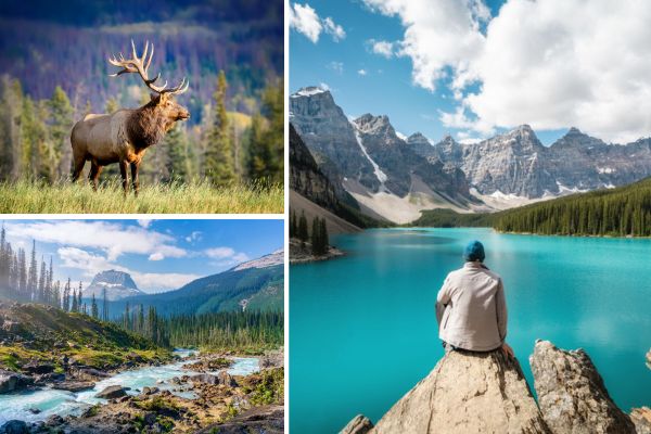 Spectaculaire natuur in Canada