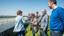Bezoekers van de open dag bij de Dubbele Dijk kijken naar zeewier dat hier geteeld wordt (foto ED2050 / Geert Job Sevink).
