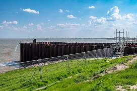 Ganzen bij de Dubbele Dijk (foto ED2050 / Geert Job Sevink).
