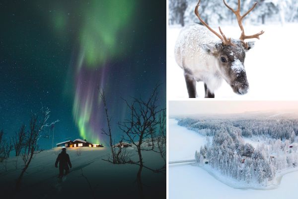 zweeds_lapland0.jpg