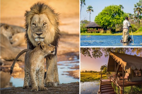 botswana1.jpg