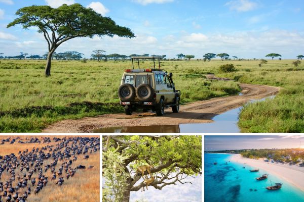 tanzania2.jpg