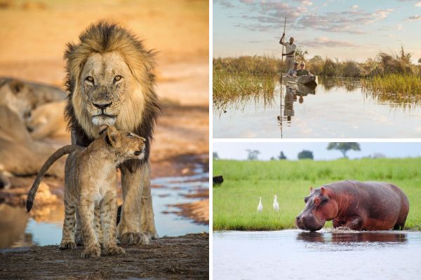 botswana2.jpg