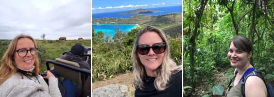 Travelnauts collega's op reis
