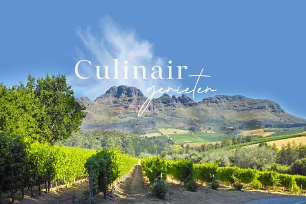 culinair_intro.jpg