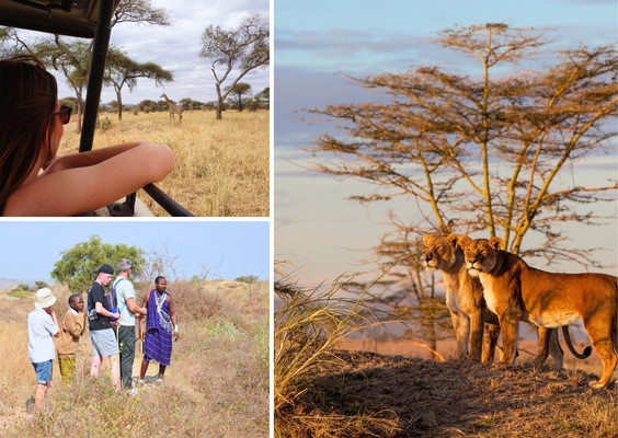 tanzania3.jpg