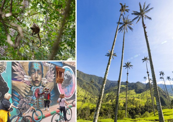colombia__1_.jpg