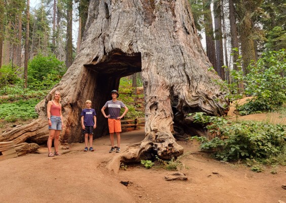 blog_national_park.jpg