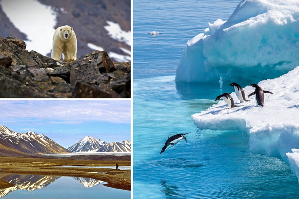 spitsbergen_antarctica.jpg