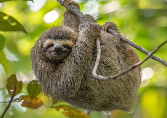 costa_rica__3_.jpg