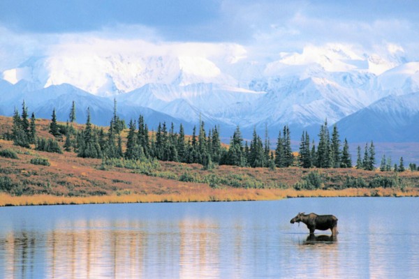 alaska__2_.jpg