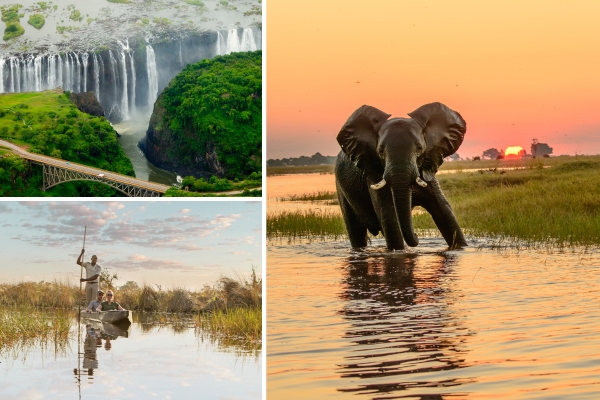 safari_botswana.jpg