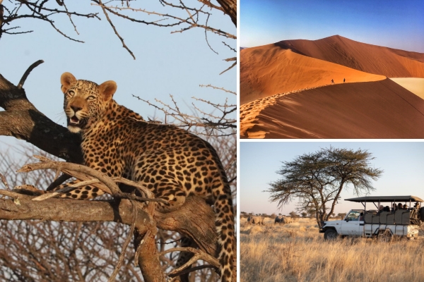 safari_namibi__.jpg