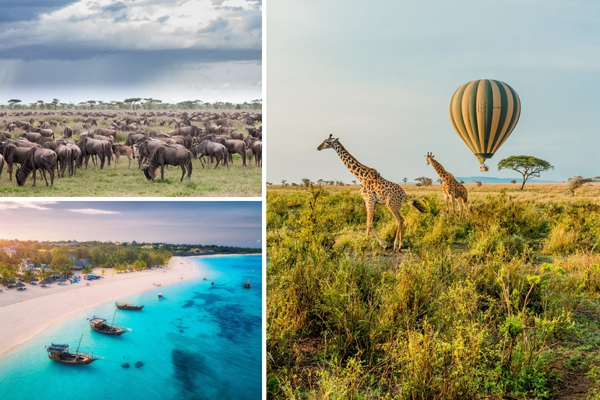 safari_tanzania__1_.jpg