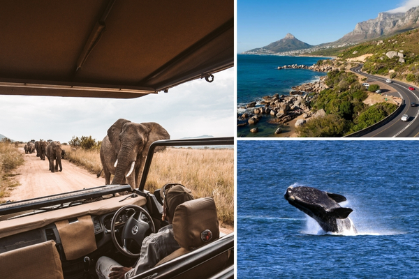safari_tuinroute_za.jpg