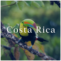 tt_alternatief_costa_rica___mobiel.png