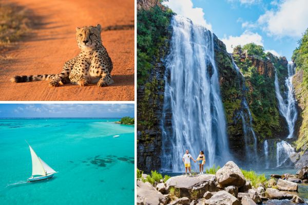 perfect_match_zuid_afrika_mauritius.jpg