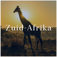 tt_alternatief_zuid_afrika____200px_desktop.png