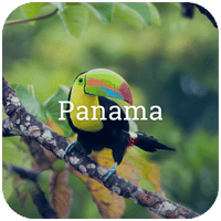 tn_alternatief_panama___200px_desktop.png