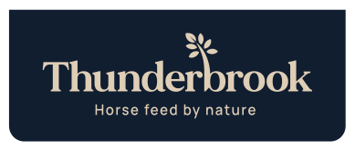 Thunderbrook