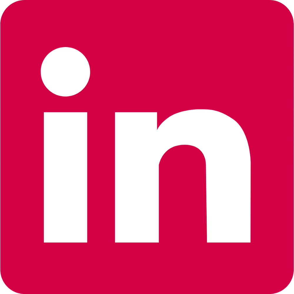 LinkedIn icon VfPf