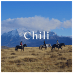 tt_alternatief_chili___150px_desktop.png