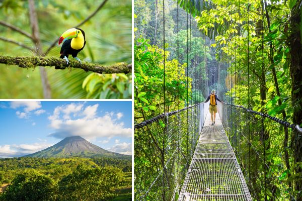 costa_rica__6_.jpg