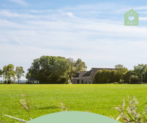 Gronings landschap, weiland met boerderij in de verte
