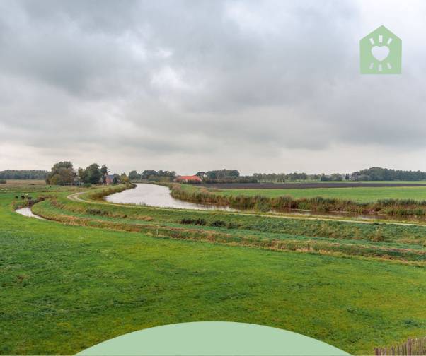Gronings landschap, weiland met koeien in de verte