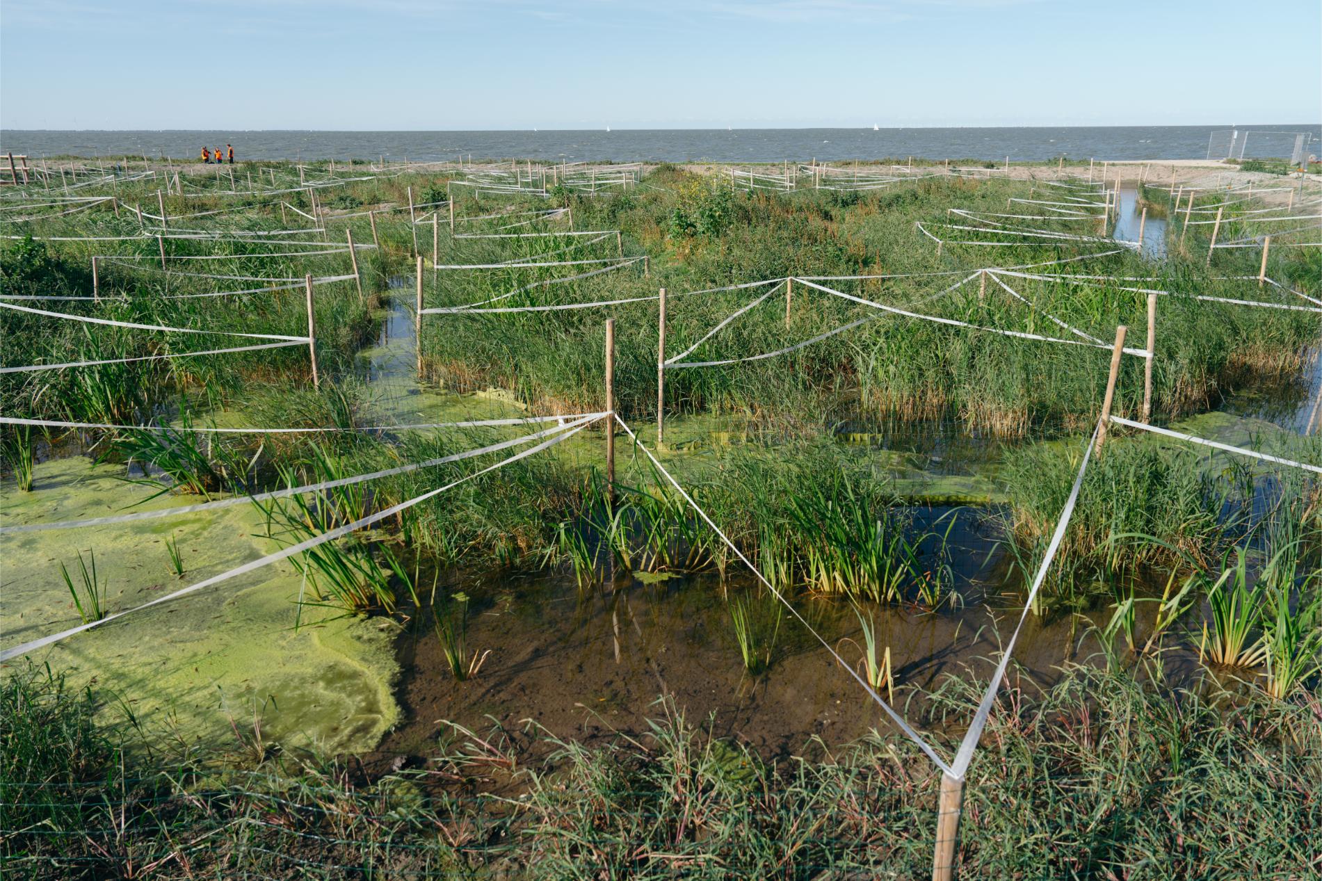 Zuiveringsstap uitgelicht