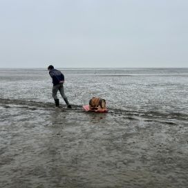 Frans Alting met op de achtergrond de Eemshaven