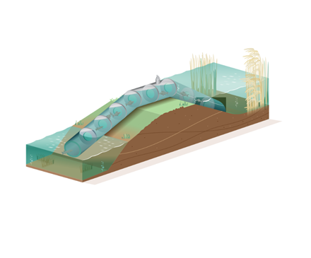 Bijschrift: links zie je het IJsselmeer. Rechts, hoger in beeld, ligt het LIFE Watersource landschap. De buis is de hevel. Die laat water naar het IJsselmeer stromen en maakt de doorgang voor vissen mogelijk.