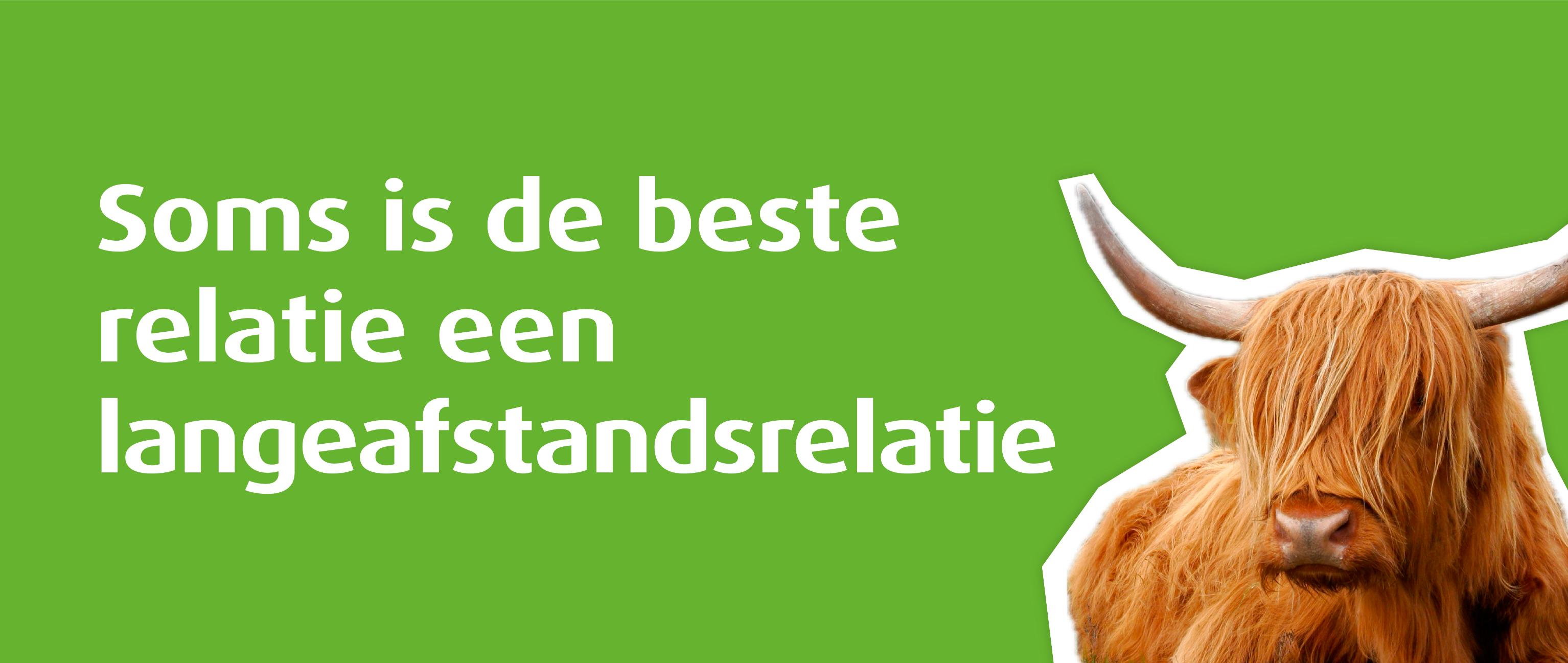 Grote grazers