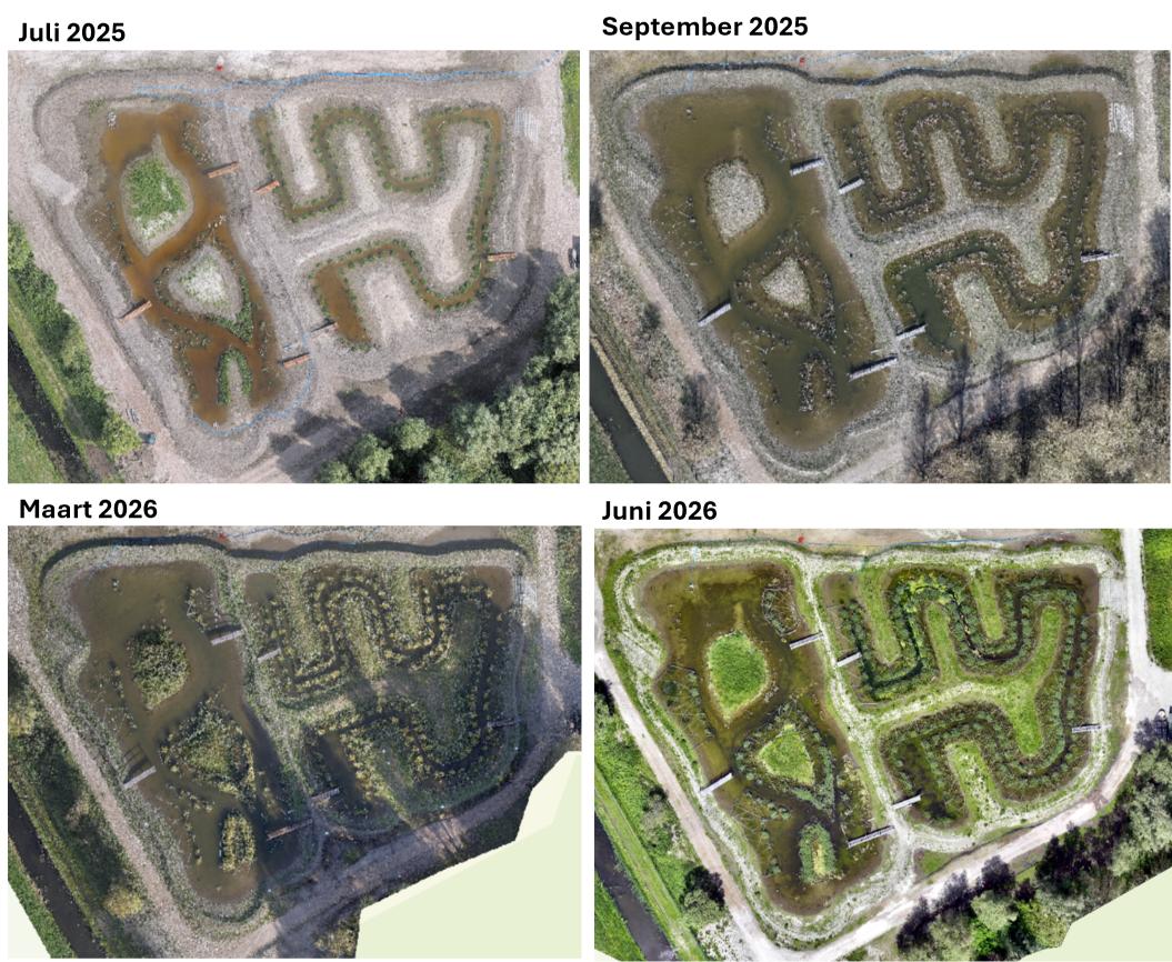 Eén jaar LIFE Watersource:&nbsp; &nbsp; &nbsp; &nbsp; &nbsp; &nbsp; &nbsp; &nbsp; &nbsp; &nbsp; &nbsp; &nbsp; &nbsp; &nbsp; &nbsp; &nbsp; &nbsp; &nbsp; &nbsp; de natuur groeit volop