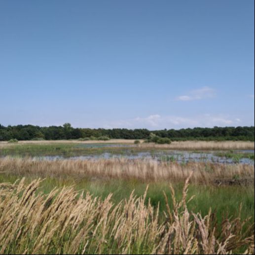 Bescherming drinkwaterbronnen hoog urgent