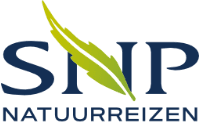 SNP