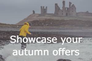 Puffins on the Farne Islands
