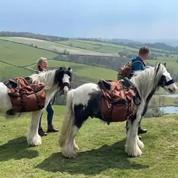 Ancient Trails Pony Walking Dorset