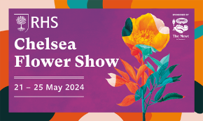 BfD - Chelsea Flower Show