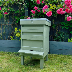 Sage Green Hive