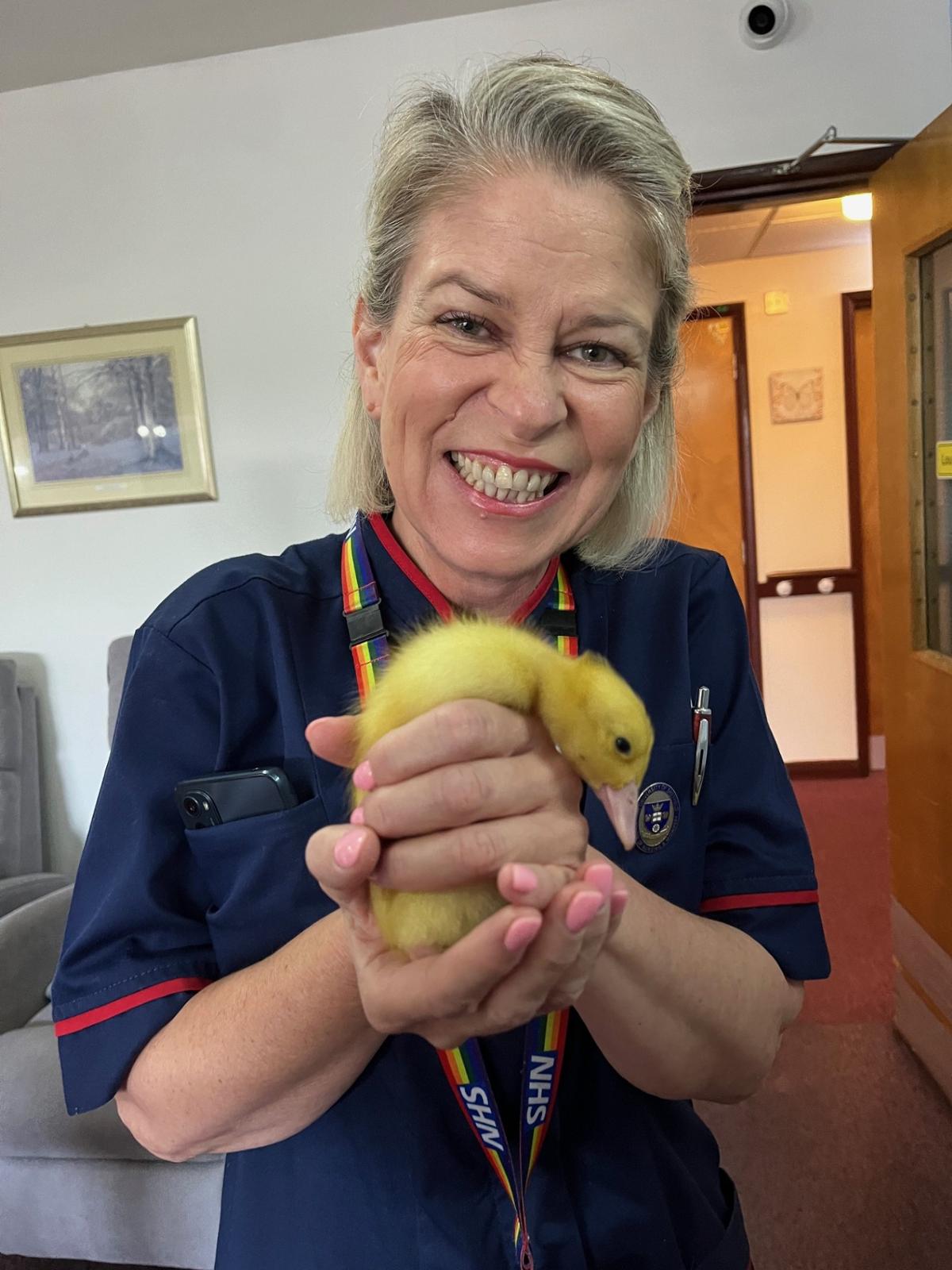 Cindy Woodward, enhanced clinical practitioner, pictured holding a chick