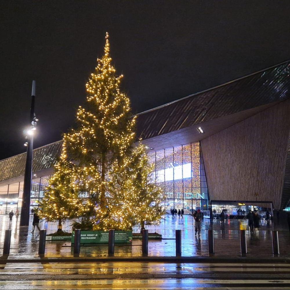 Kerstboom in Rotterdam