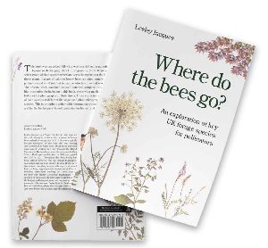 Where do the bees go?